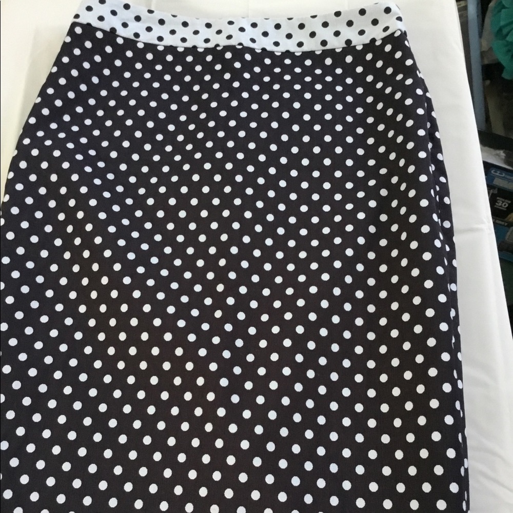 The Limited Skirt